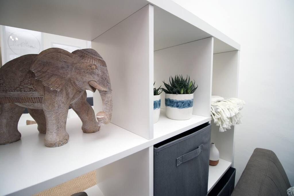The Snug - Studio In Mount Pleasant Apartment *